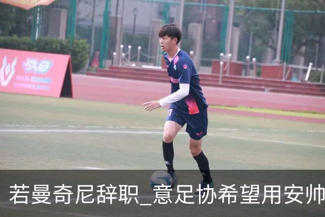 若曼奇尼辞职 意足协希望用安帅或卡纳瓦罗替代